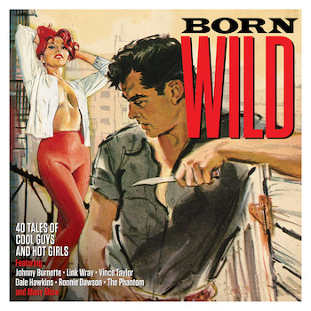 V.A. - Born Wild ( 2 cd's )